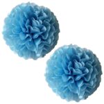 Powder Blue Tissue Paper Pom Poms – Flower Balls 12 inches