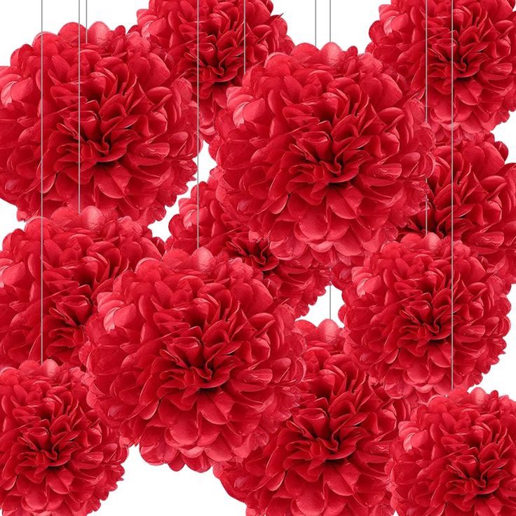 Red Tissue Paper Pom Poms – Flower Balls(14 Inch)