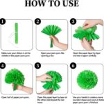 Green Tissue Paper Pom Poms – Flower Balls(14 Inch)